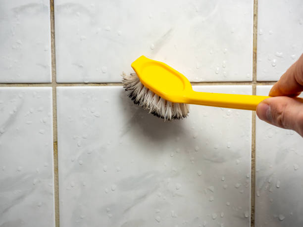 Best Mold Removal Specialists  in Renville, MN