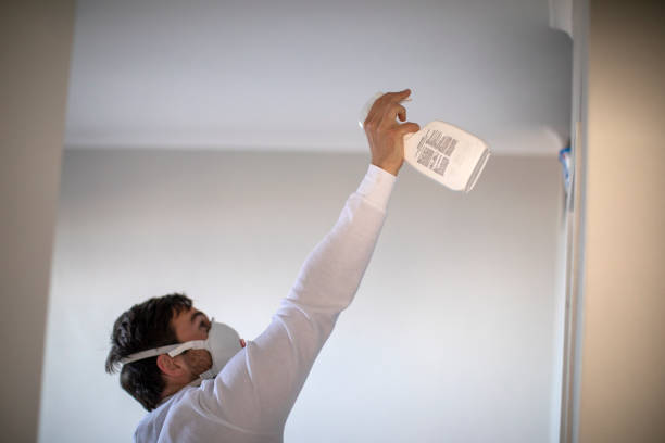 Best Mold Remediation  in Renville, MN