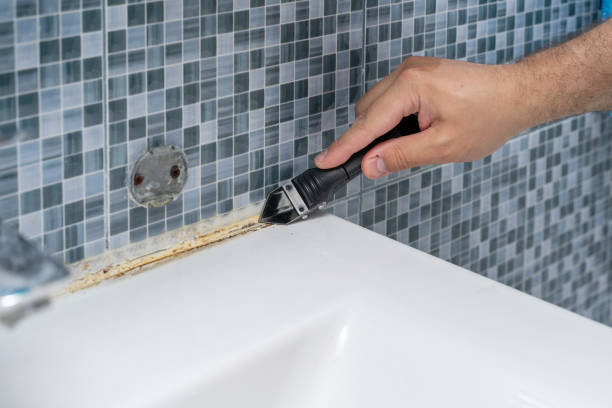 Best Home Mold Removal  in Renville, MN